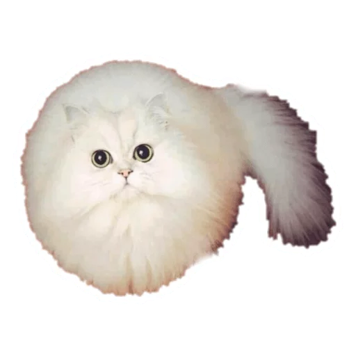 Sticker from the "Round Animals" sticker pack