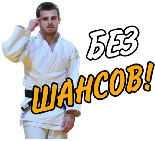 Sticker from the "Дзюдо Арт" sticker pack