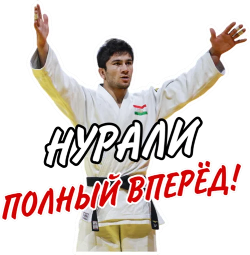 Sticker from the "Дзюдо Арт" sticker pack