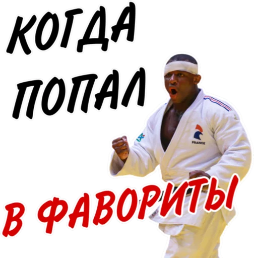 Sticker Дзюдо Арт