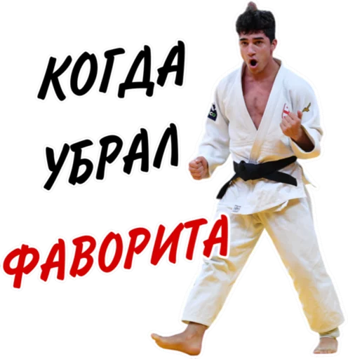 Sticker from the "Дзюдо Арт" sticker pack