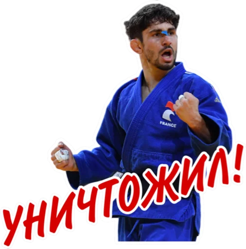 Sticker from the "Дзюдо Арт" sticker pack