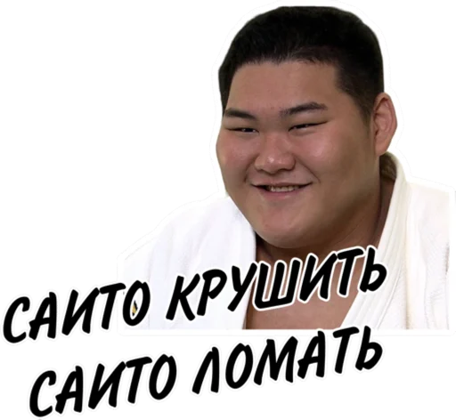 Sticker from the "Дзюдо Арт" sticker pack