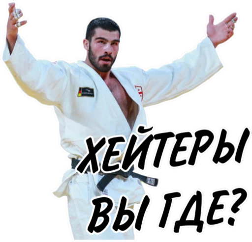 Sticker from the "Дзюдо Арт" sticker pack