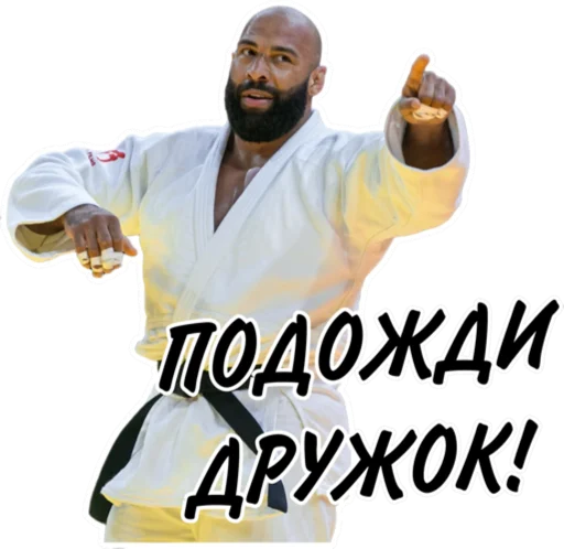 Sticker Дзюдо Арт