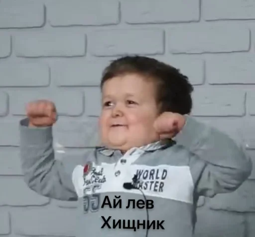 Sticker from the "хасбик" sticker pack