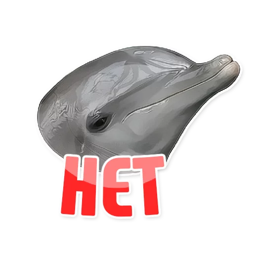 Sticker from the "Дельфин под спайсом" sticker pack