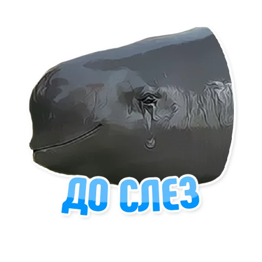 Sticker from the "Дельфин под спайсом" sticker pack