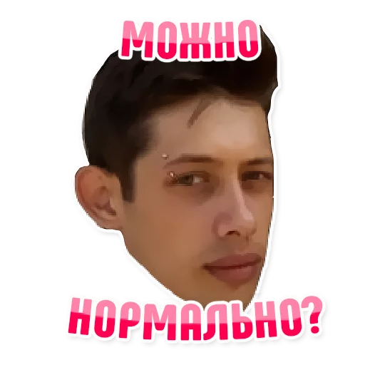 Sticker Дельфин под спайсом