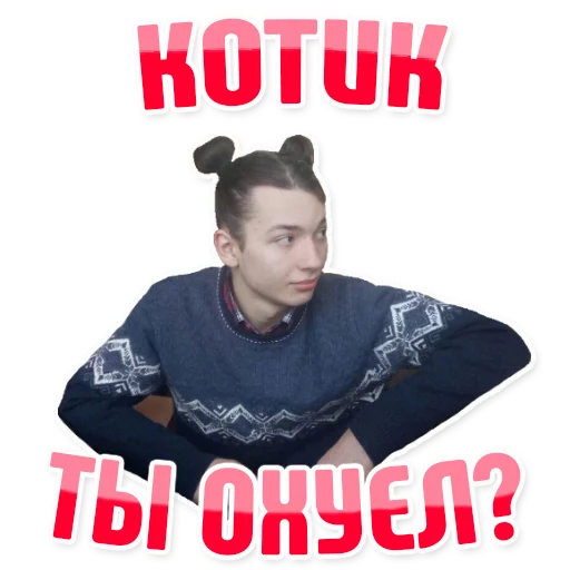 Sticker Дельфин под спайсом