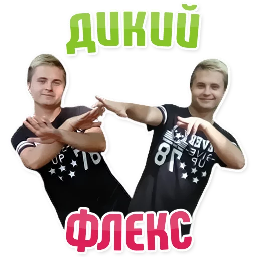 Sticker Дельфин под спайсом