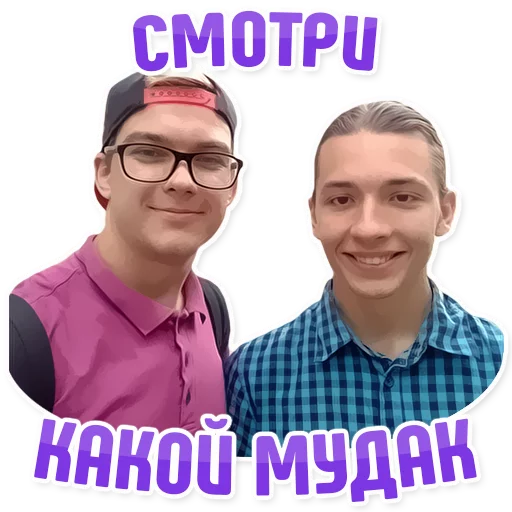 Sticker Дельфин под спайсом