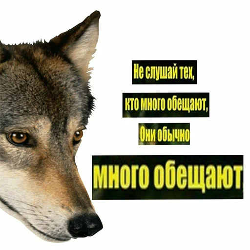 Sticker from the "Сильный не тот, кто сильный" sticker pack