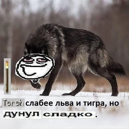 Sticker from the "Сильный не тот, кто сильный" sticker pack