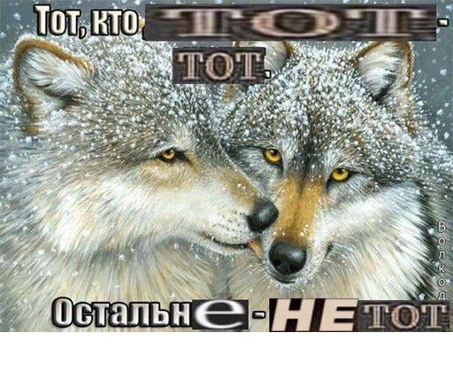 Sticker from the "Сильный не тот, кто сильный" sticker pack