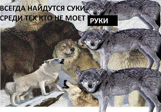 Sticker from the "Сильный не тот, кто сильный" sticker pack