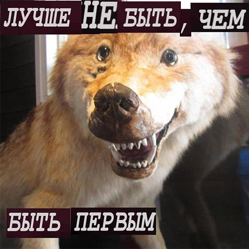 Sticker from the "Сильный не тот, кто сильный" sticker pack