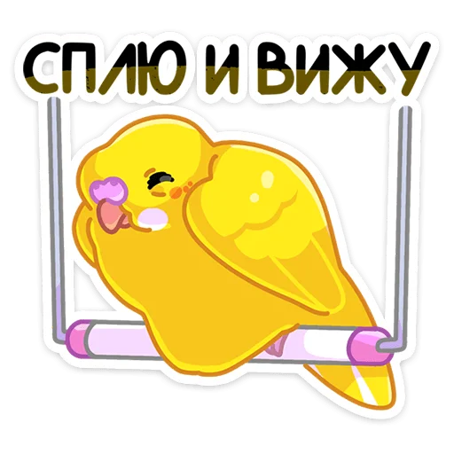 Sticker from the "Попуги" sticker pack