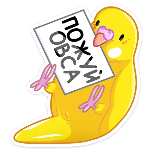 Sticker from the "Попуги" sticker pack