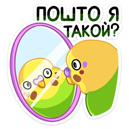 Sticker from the "Попуги" sticker pack