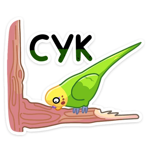 Sticker from the "Попуги" sticker pack