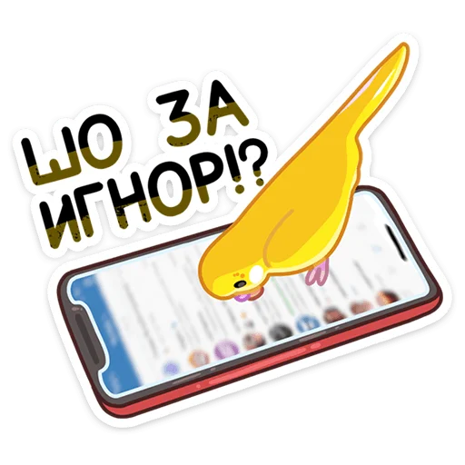 Sticker from the "Попуги" sticker pack