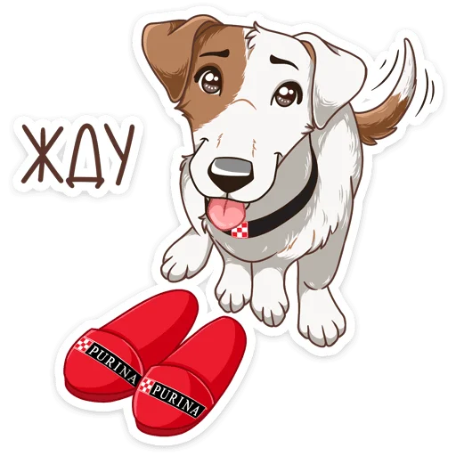 Sticker from the "Питомцы" sticker pack