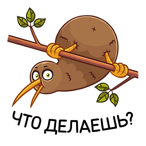 Sticker from the "Киви Стиви" sticker pack