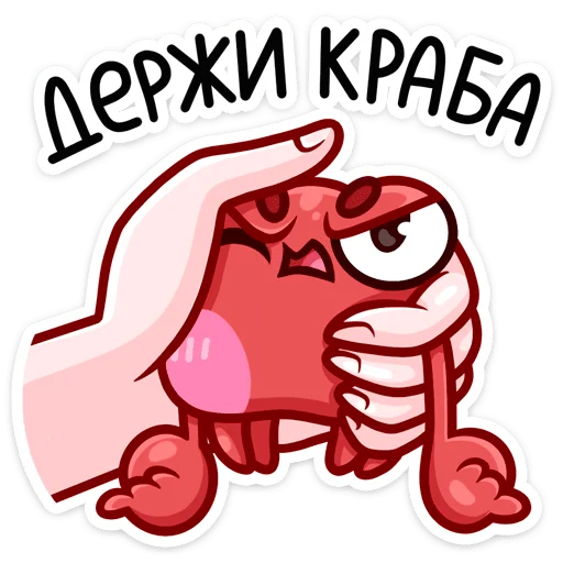 Sticker from the "Панг" sticker pack