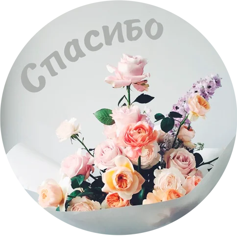 Стикер из набора "(Assorted stickers) •ηηợ√•"