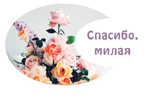 Стикер из набора "(Assorted stickers) •ηηợ√•"