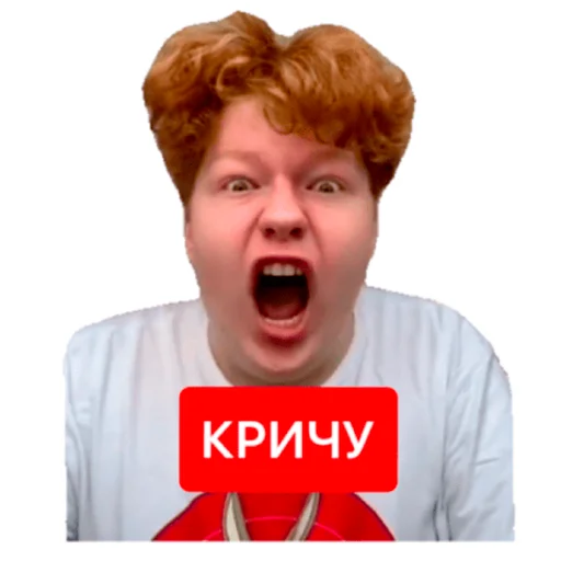 Sticker from the "тик ток из лайф" sticker pack