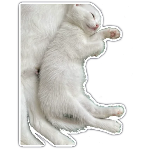 Sticker from the "kitty cute" sticker pack