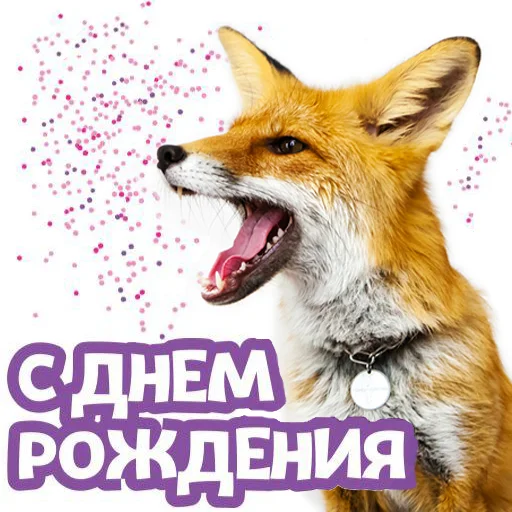 Стикер из набора "Nixie_fox"