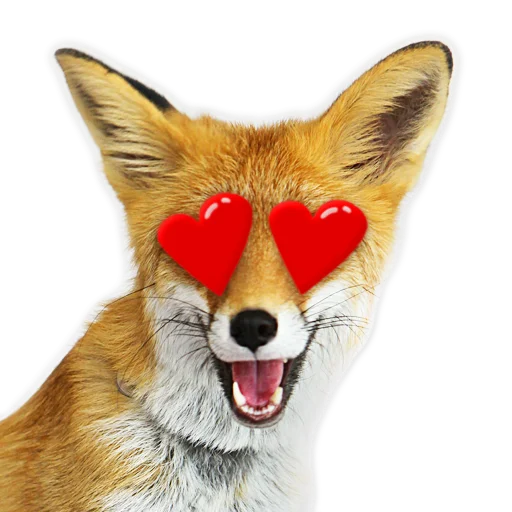 Sticker from the "Nixie_fox" sticker pack