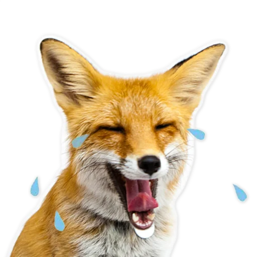 Sticker from the "Nixie_fox" sticker pack