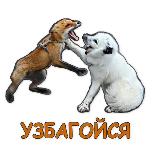 Sticker Nixie_fox