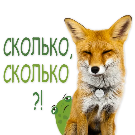 Sticker from the "Nixie_fox" sticker pack