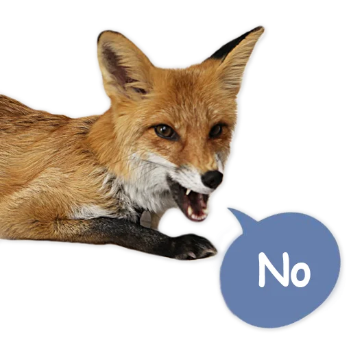 Sticker from the "Nixie_fox" sticker pack