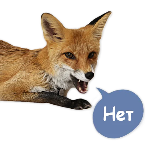 Sticker from the "Nixie_fox" sticker pack