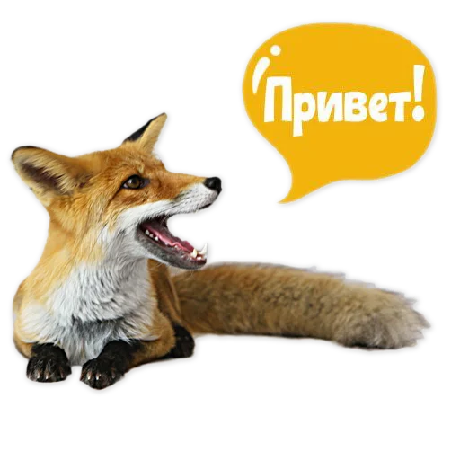 Стикер из набора "Nixie_fox"