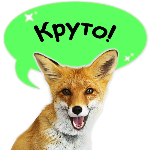 Sticker from the "Nixie_fox" sticker pack