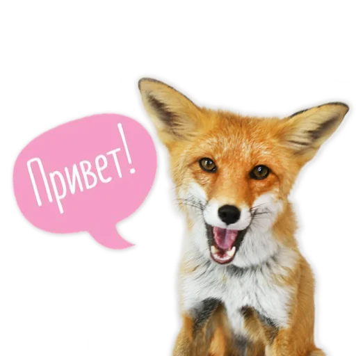 Sticker from the "Nixie_fox" sticker pack