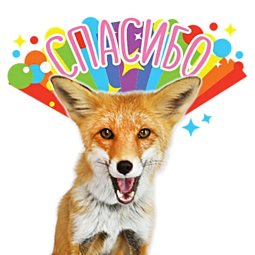 Sticker from the "Nixie_fox" sticker pack