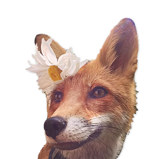 Sticker from the "Nixie_fox" sticker pack