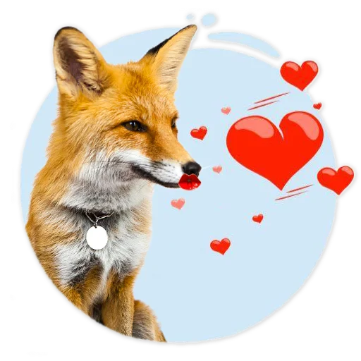 Sticker from the "Nixie_fox" sticker pack