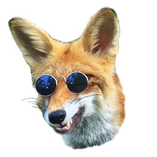 Sticker from the "Nixie_fox" sticker pack