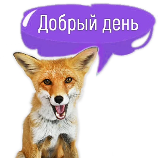 Стикер из набора "Nixie_fox"