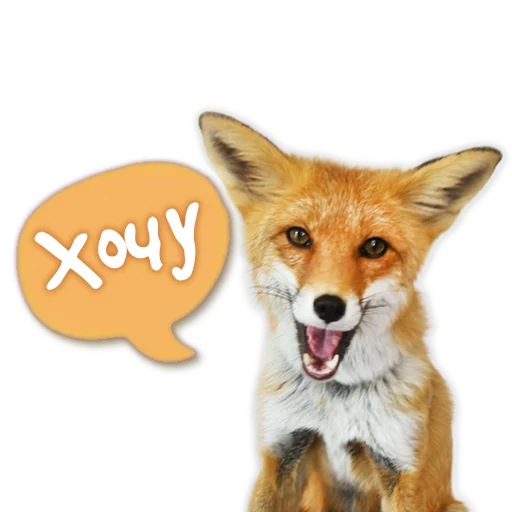 Sticker from the "Nixie_fox" sticker pack