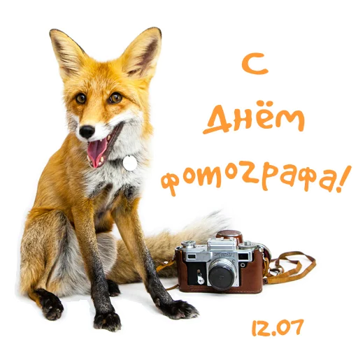 Sticker Nixie_fox